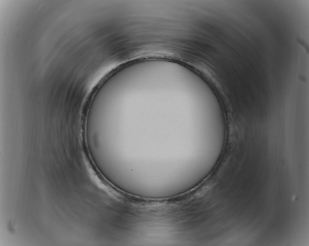 X0000103951038200809191206