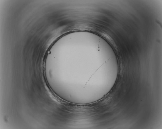 X0000103951039200809191206