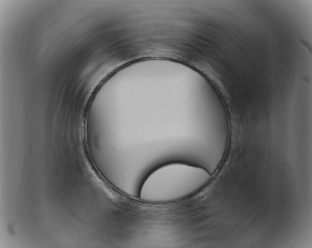X0000103951040200809191206