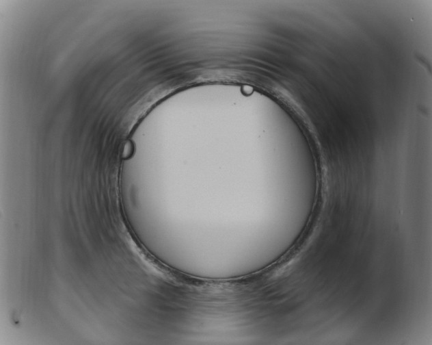 X0000103951041200809191206