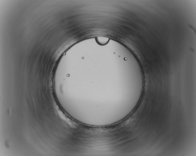 X0000103951042200809191206