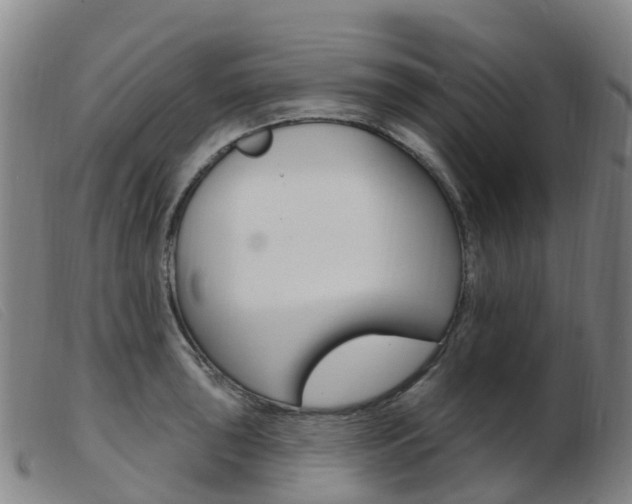 X0000103951043200809191206
