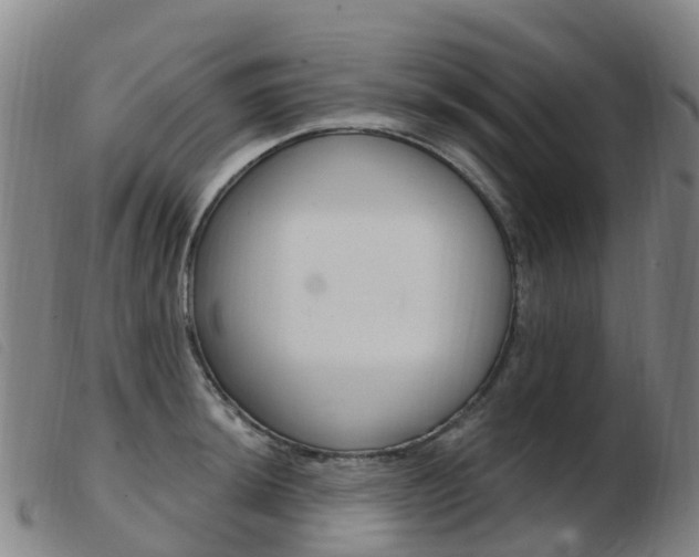 X0000103951044200809191206