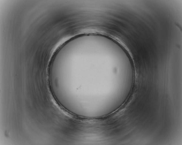 X0000103951045200809191206