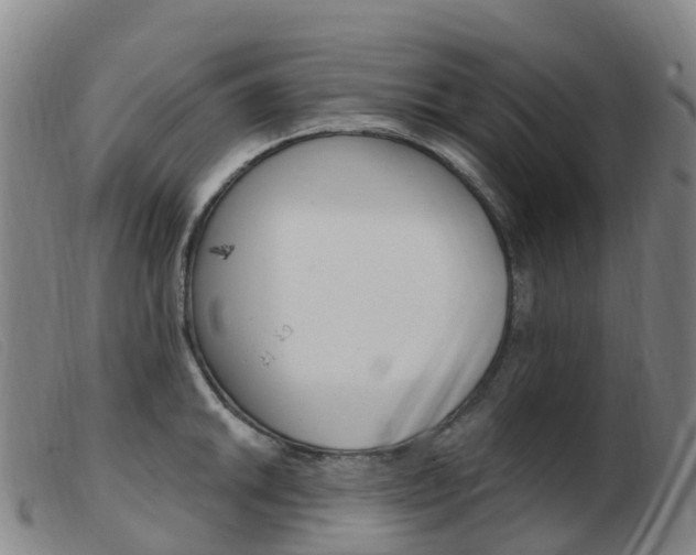 X0000103951046200809191206