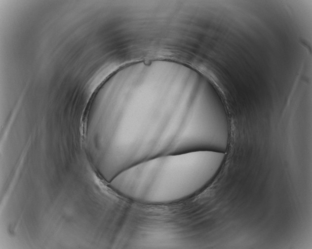 X0000103951047200809191206