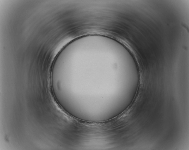 X0000103951048200809191206
