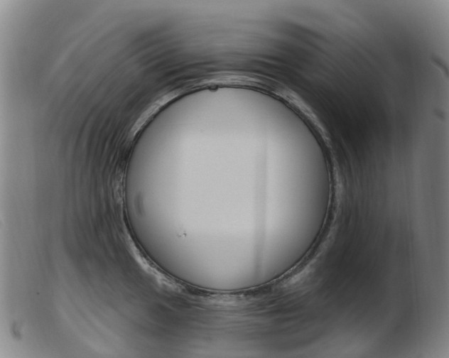 X0000103951049200809191206
