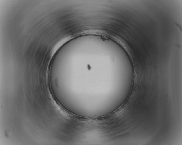 X0000103951050200809191206