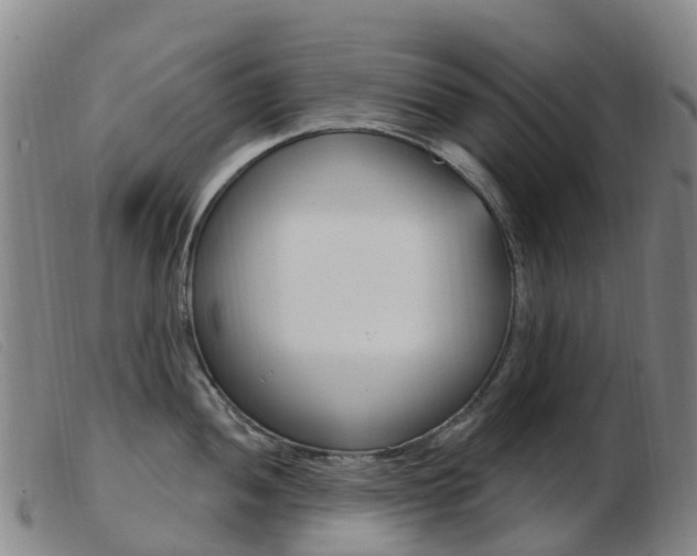 X0000103951052200809191206