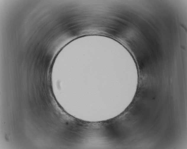 X0000103951053200809191206