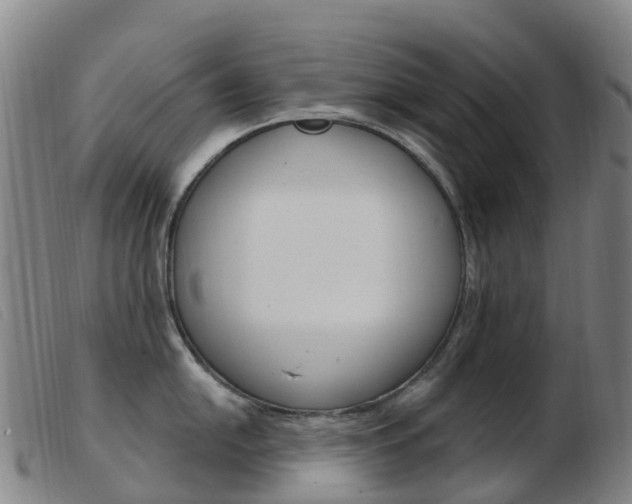 X0000103951054200809191206