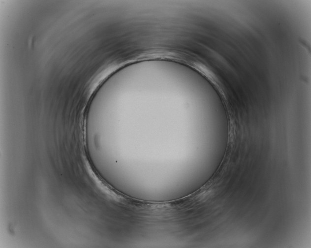 X0000103951055200809191206