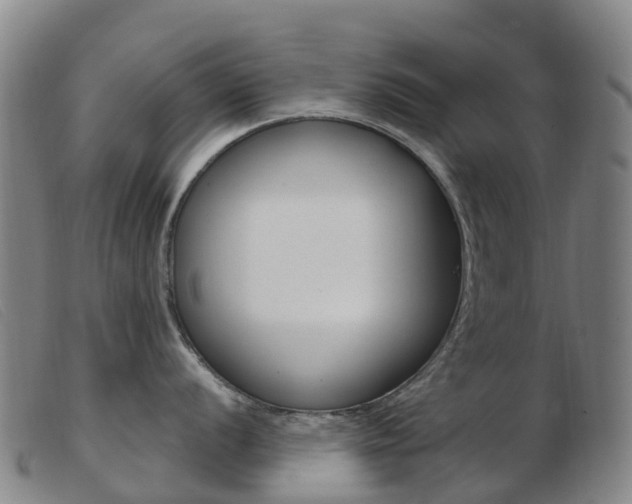 X0000103951056200809191206