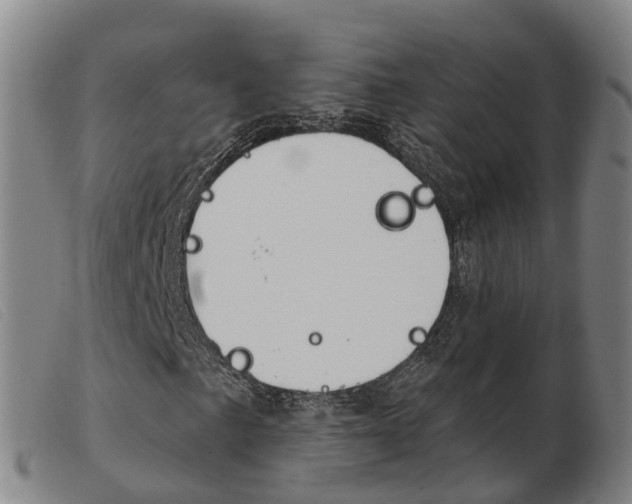 X0000103951057200809191206