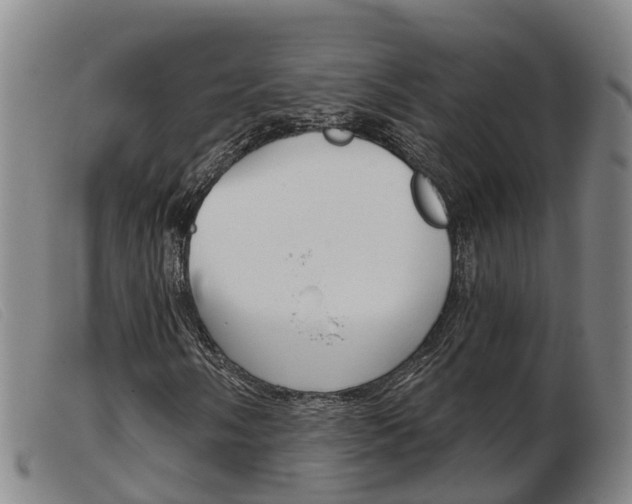 X0000103951058200809191206