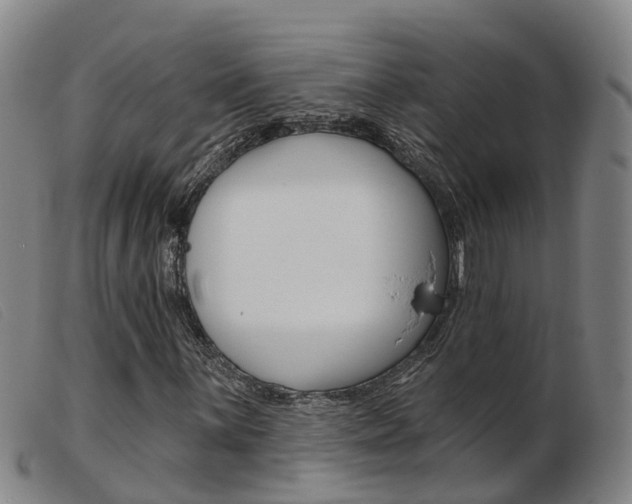 X0000103951059200809191206