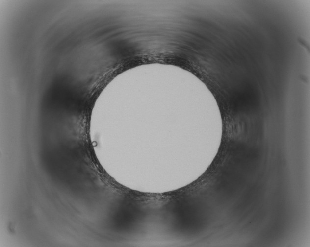 X0000103951060200809191206