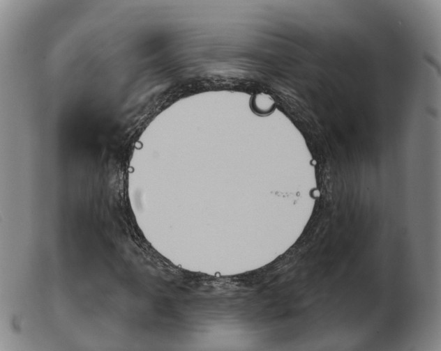 X0000103951061200809191206