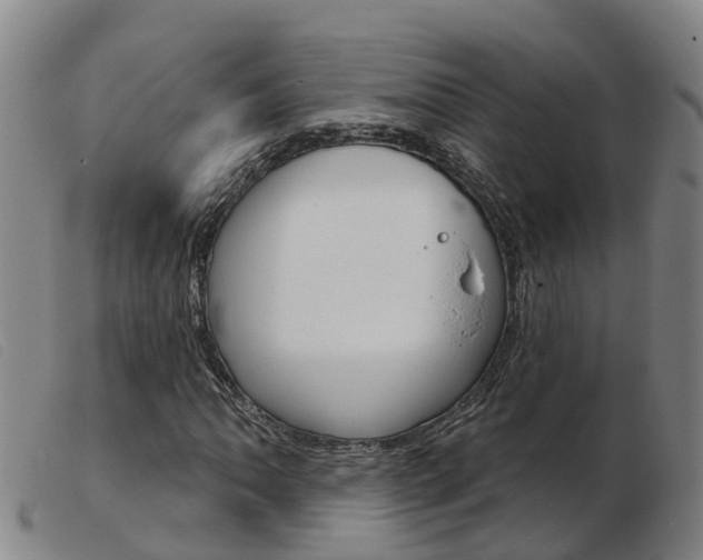 X0000103951062200809191206