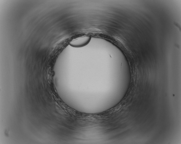 X0000103951063200809191206