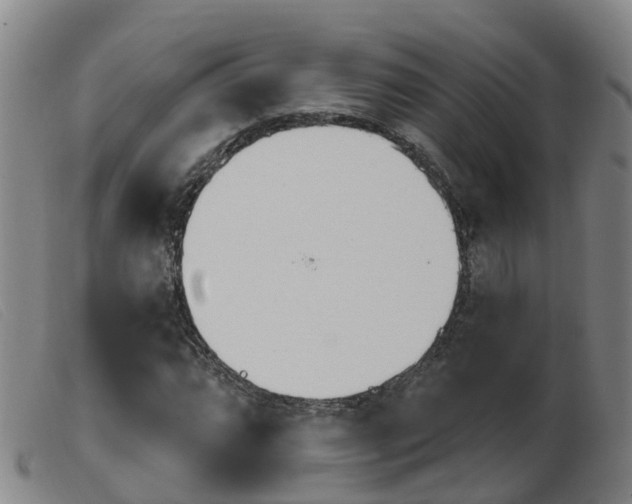 X0000103951064200809191206