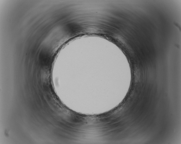 X0000103951065200809191206