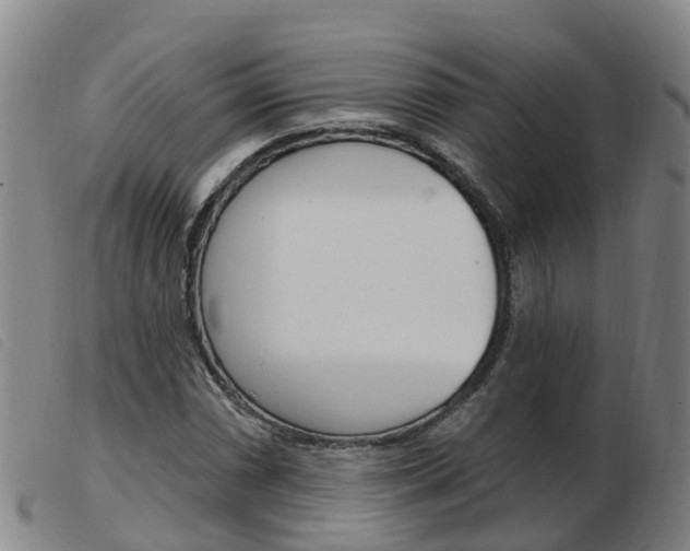 X0000103951066200809191206