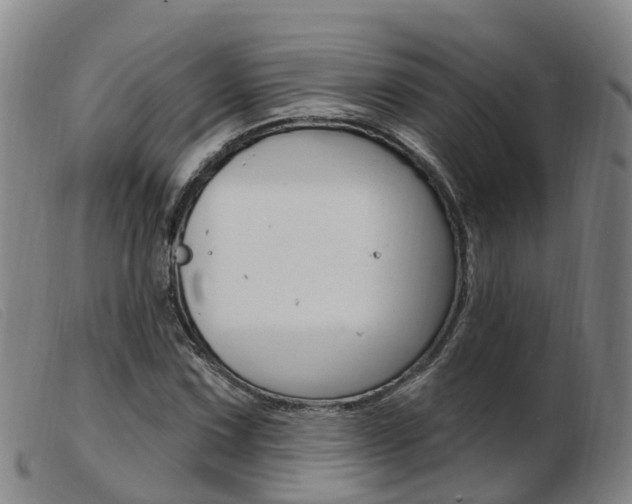 X0000103951067200809191206