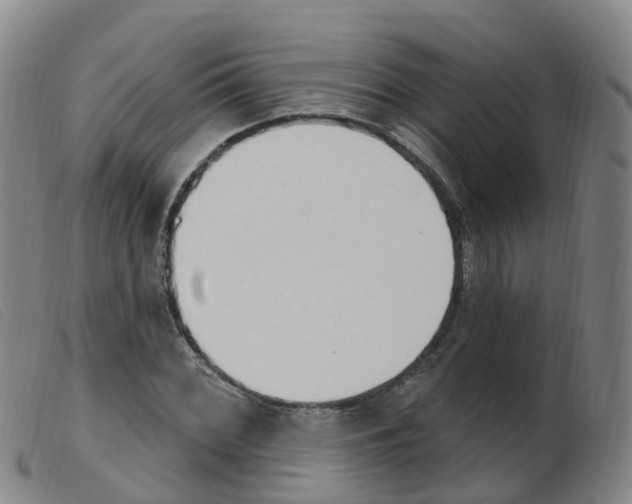 X0000103951068200809191206