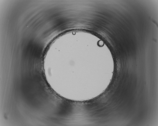 X0000103951069200809191206