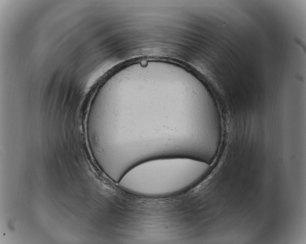 X0000103951070200809191206