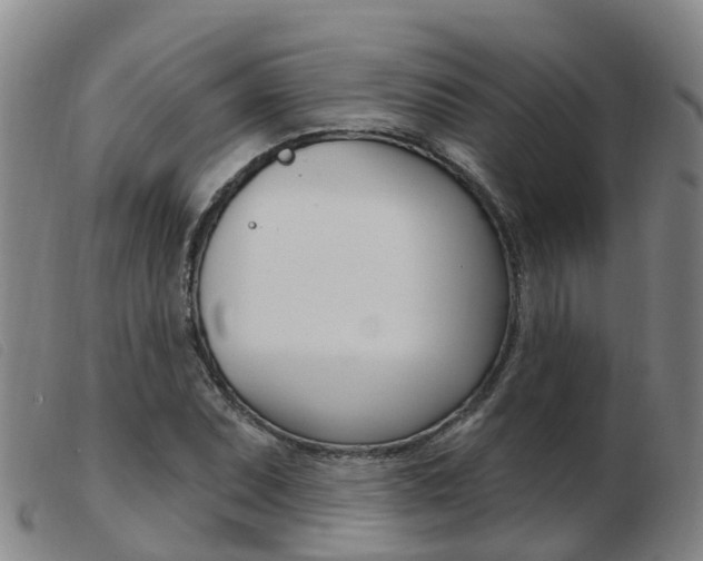 X0000103951071200809191206