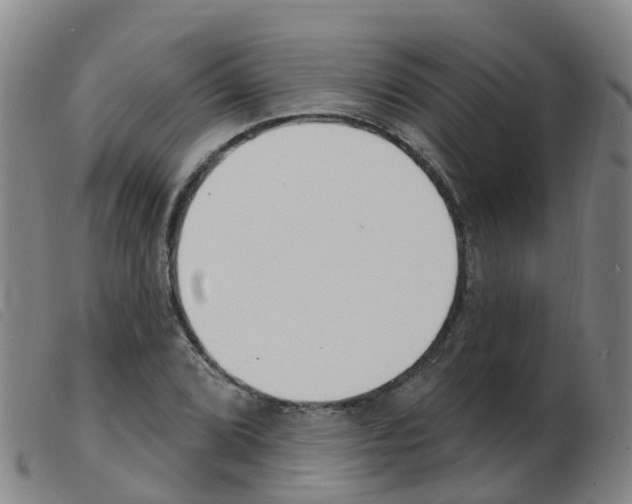 X0000103951072200809191205