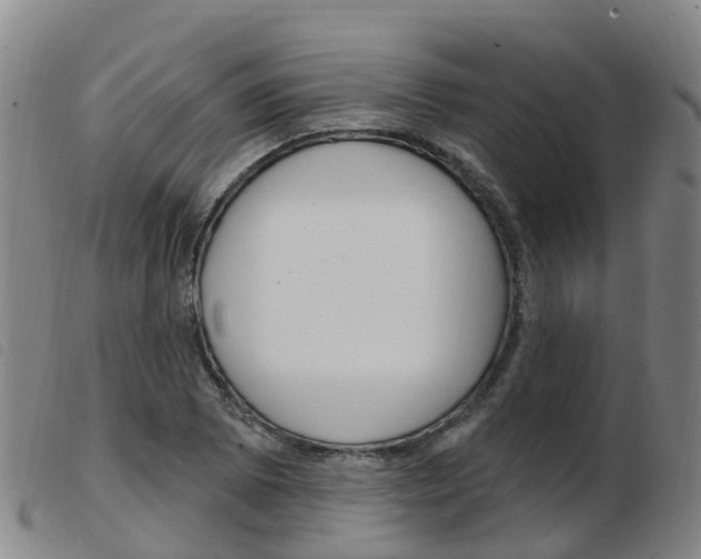 X0000103951073200809191205