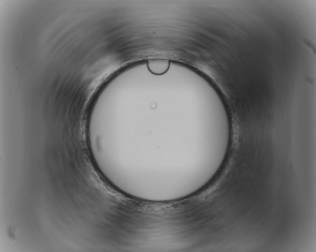 X0000103951074200809191205