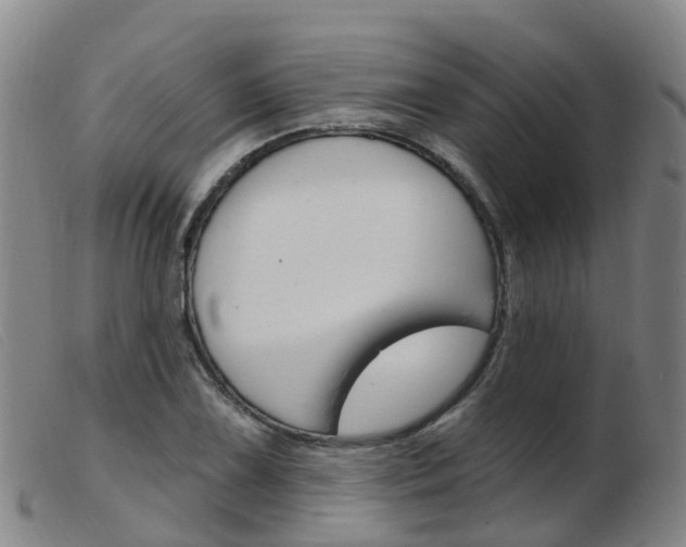 X0000103951075200809191205