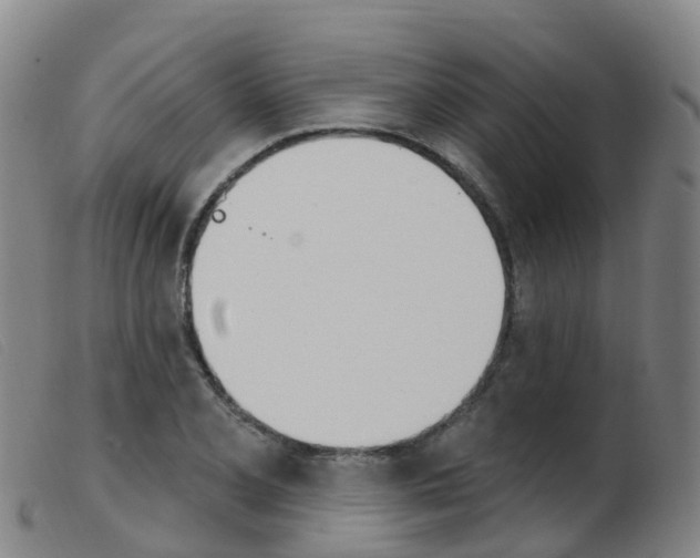 X0000103951077200809191205