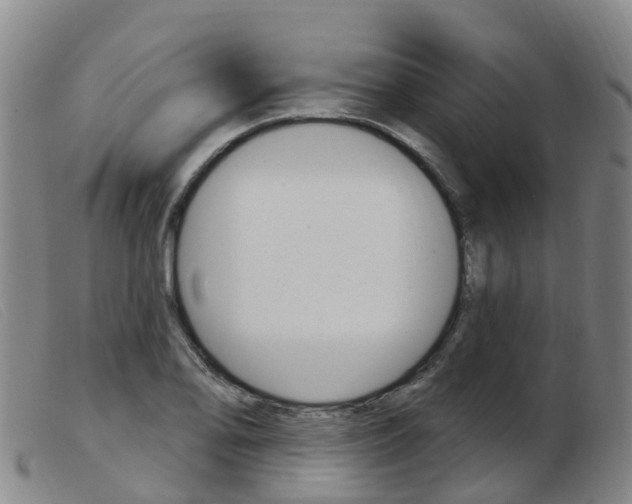 X0000103951078200809191205