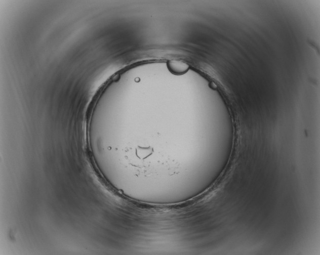 X0000103951079200809191205