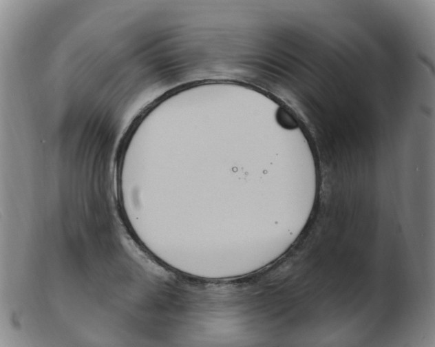 X0000103951080200809191205