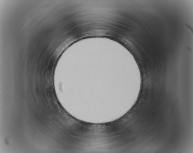 X0000103951081200809191205