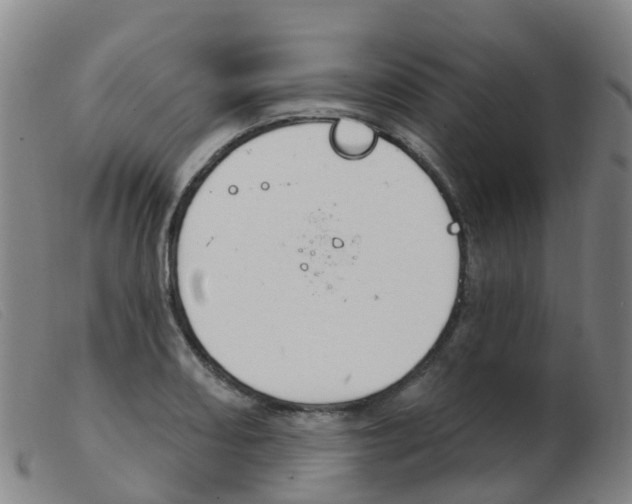X0000103951082200809191205