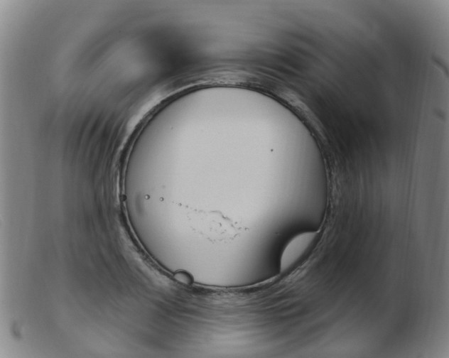 X0000103951083200809191205