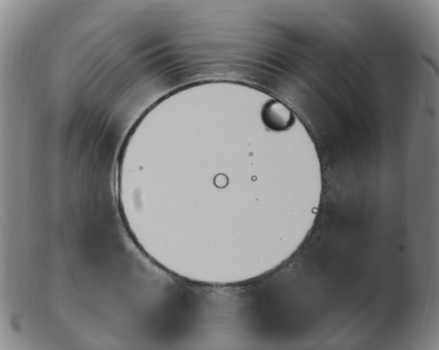 X0000103951084200809191205