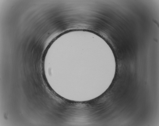 X0000103951085200809191205