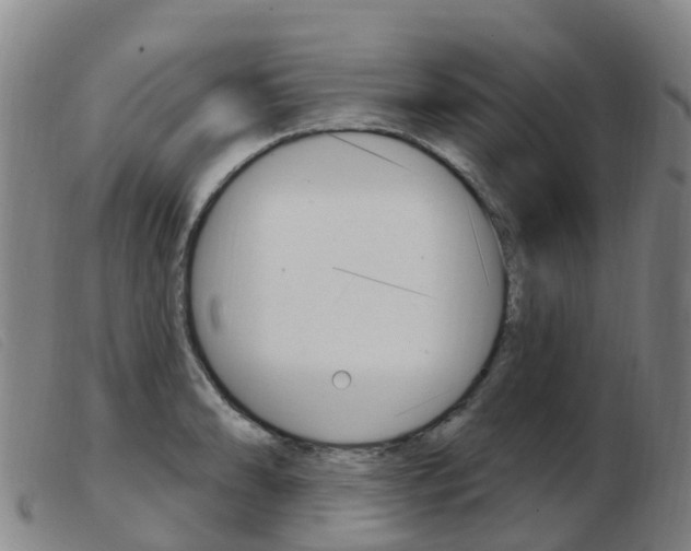 X0000103951086200809191205
