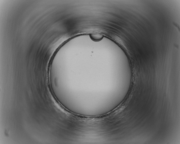 X0000103951087200809191205