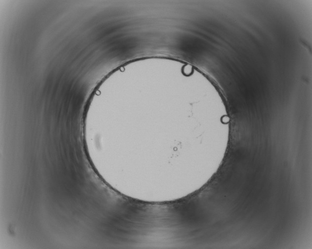 X0000103951088200809191205