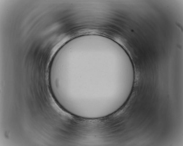 X0000103951090200809191205
